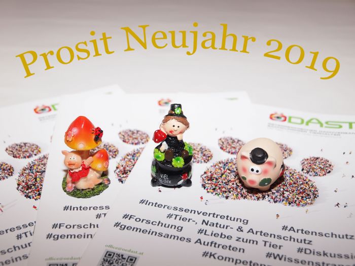 Prosit Neujahr 2019